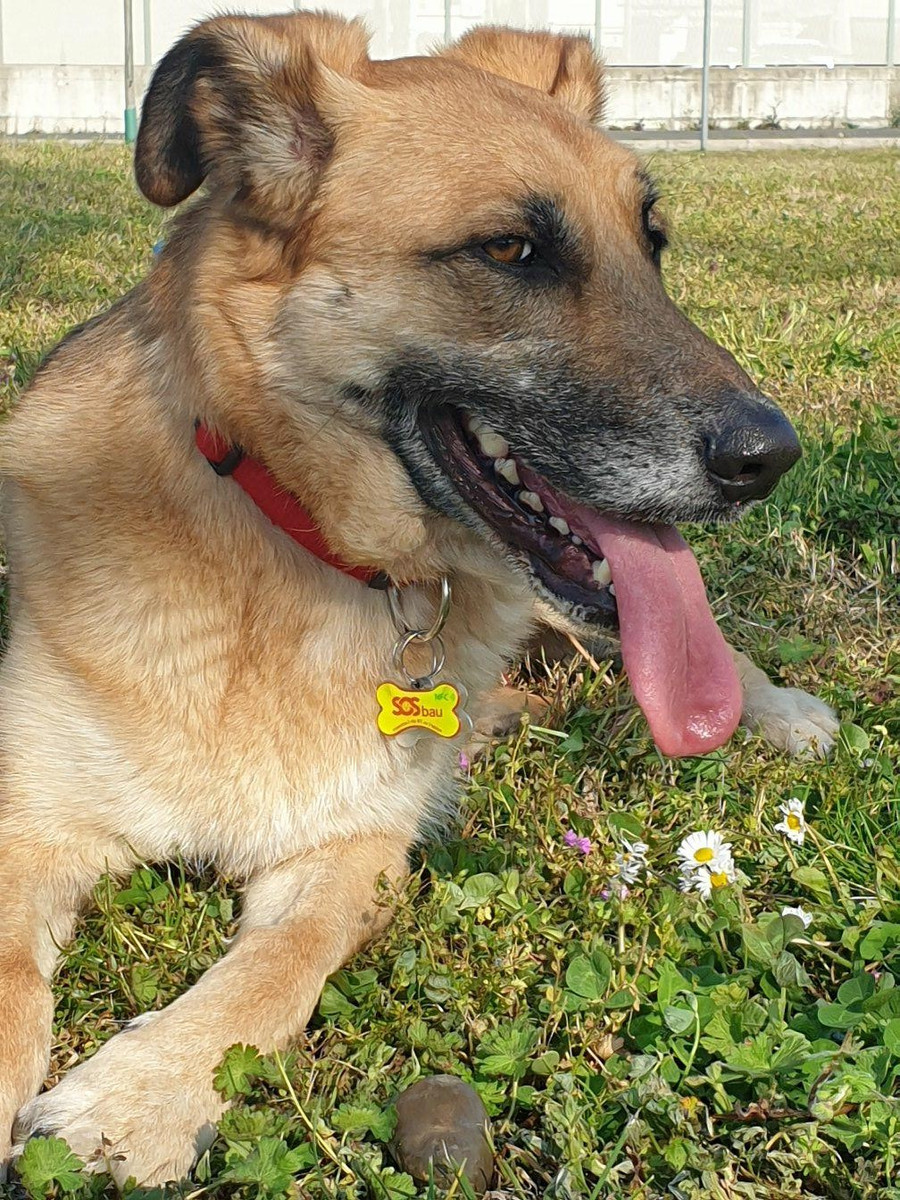 FOTO BEA 3.jpg